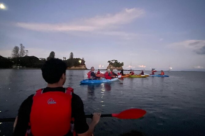 Bioluminescence Kayak Tour - Est. 1994 - Price and Value: Is $73.85 Worth It for a 2-Hour Night Paddle?
