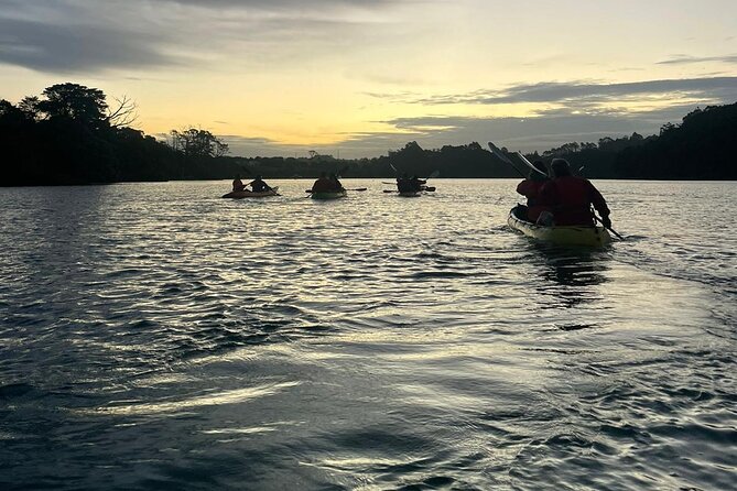 Bioluminescence Kayak Tour - Est. 1994 - Who Should Book This Bioluminescence Kayak Tour