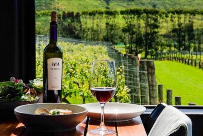 Boutique Waiheke Island Wine, Gin and Food Tour - Stop 1 at Te Motu: Bordeaux-Style Wines with Big Onetangi Valley Views