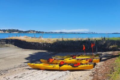 Browns Island Motukorea Sea Kayak Tour - Stop 1: St Heliers to the Hauraki Gulf Views (About 1 Hour)