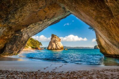 Cathedral Cove and Hot Water Beach Scenic Day Tour from Auckland - Cathedral Cove Walk: Caves, Beach Views, and the Narnia Connection