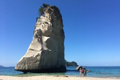 Cathedral Cove Day Trip from Auckland - Morning Departure From 148 Quay Street (and the Ride That Sets the Tone)