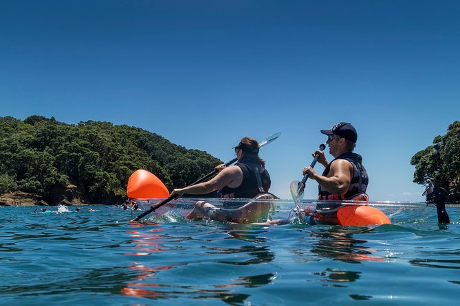 Clearyak hire at Goat Island Marine Reserve - Private hire value: why going solo as a group feels better