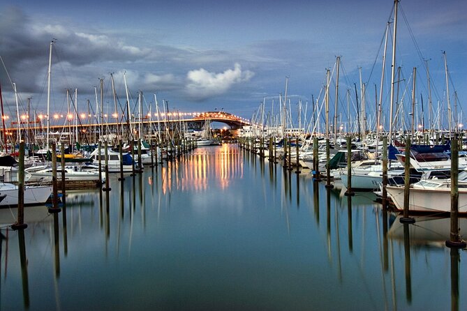 Coast to Coast Private Eco Tour - Achilles Point: another viewpoint, different angles of the harbour