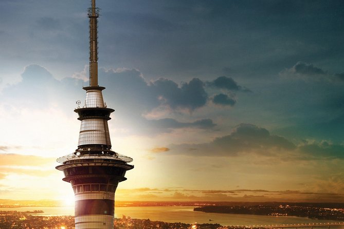 Coast to Coast Private Eco Tour - Winter Gardens in Auckland Domain: your indoor-friendly plan B