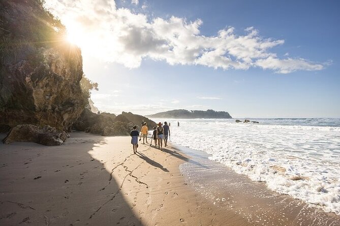 Coromandel Day Tour From Auckland - The early Auckland pickup: why starting at 6am works