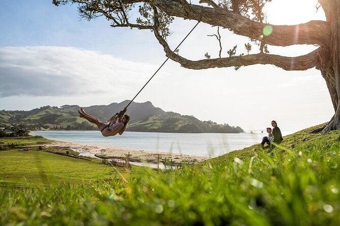 Coromandel Day Tour From Auckland - Cathedral Cove: walking there is part of the reward