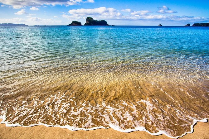 Coromandel Peninsula Discovery - Private Tour From Auckland - Cathedral Cove by boat: sea caves, reefs, and the film-location vibe
