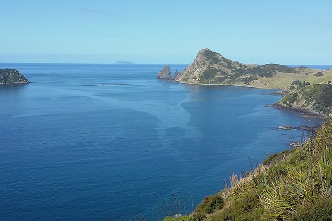 Coromandel Peninsula Discovery - Private Tour From Auckland - Hot Waves Café in Hahei: the included picnic lunch moment