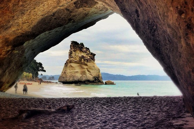 Coromandel Peninsula Discovery - Private Tour From Auckland - The small extras: blowhole moments and coastal surprises