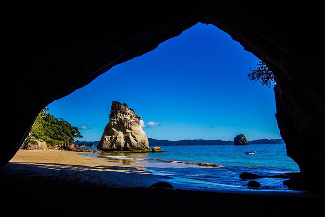 Coromandel Peninsula Discovery - Private Tour From Auckland - The value equation: what you get for $650.98 per person