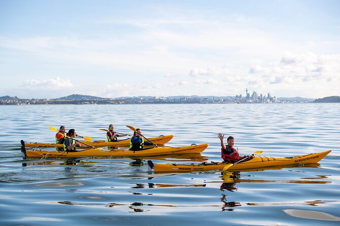 Day sea kayak tour Rangitoto Island - Rangitoto’s summit walk: a fun climb with real effort