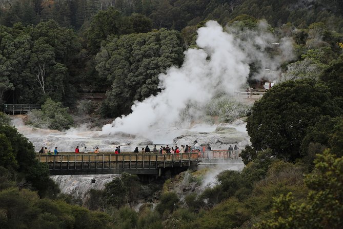 Day Tour Hobbiton + Rotorua from Auckland in Luxury Minibus - What the guides do best: punctual, funny, and safety-minded