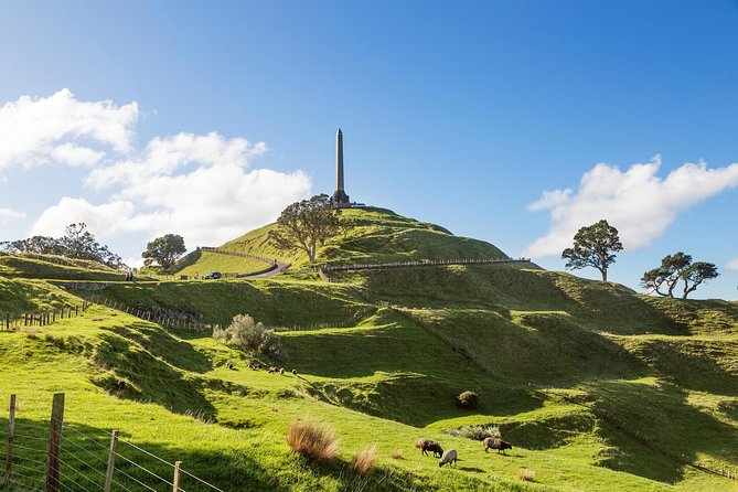 Discover Auckland City Tour: The City of Sails - One Tree Hill (Maungakiekie): The 360° Viewpoint People Actually Remember