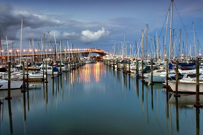 Discover Auckland City Tour: The City of Sails - Price and Value: Is $108.60 Fair for 3 Hours?