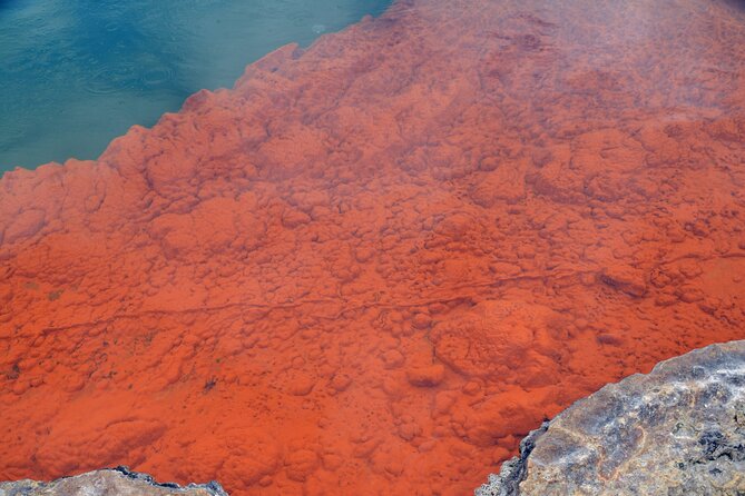 From Auckand: Waiotapu and Polynesian Spa Rotorua Day Tour - A very early start from Auckland that still feels worth it