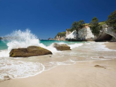 From Auckland: Cathedral Cove & Hot Water Beach Tour - The Van Ride: Efficient Transport, With a Real Time Commitment