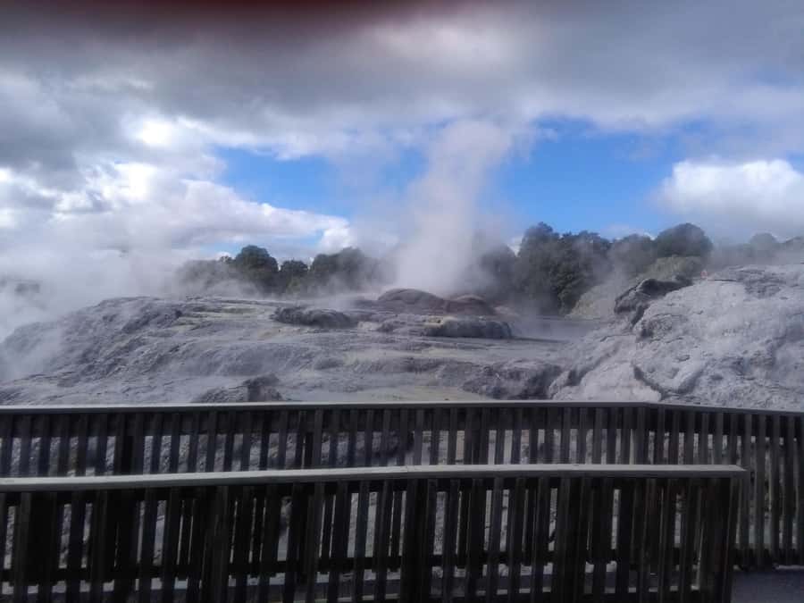 From Auckland: Day Trip to Rotorua with Optional extras - Key things to know before you go