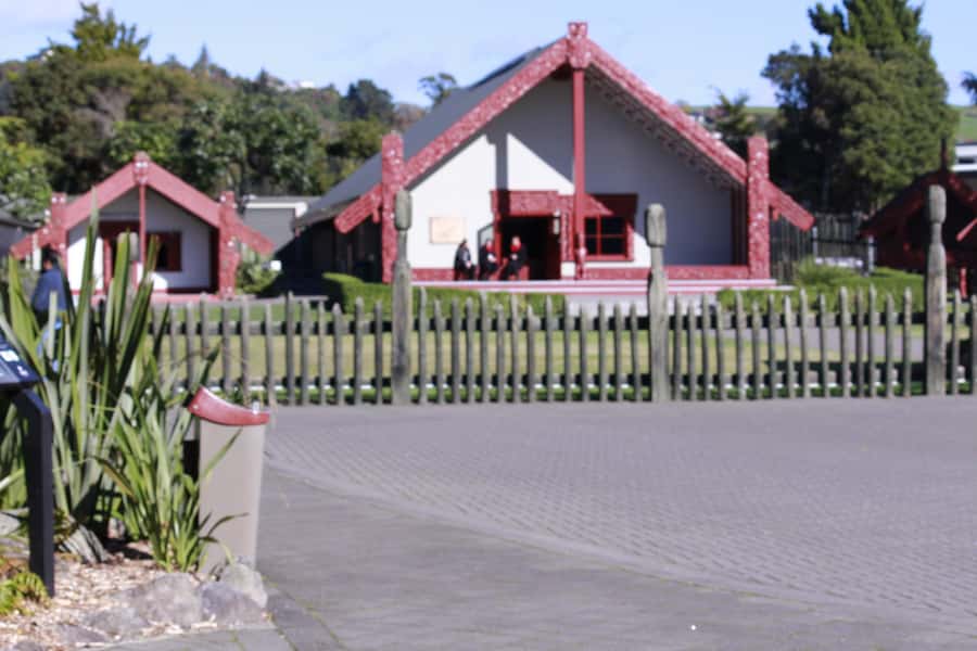 From Auckland: Day Trip to Rotorua with Optional extras - Who this tour suits best (and who should consider a private day)