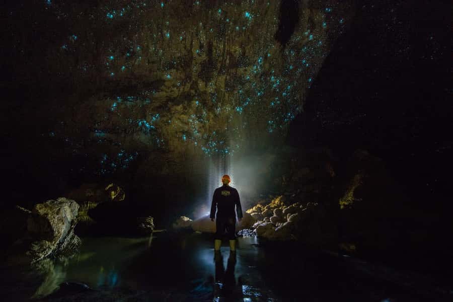From Auckland: Day Trip to Waitomo Glow Worm Caves - Price and value at $166 per person: what you’re really paying for