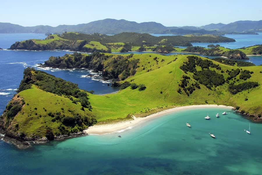 From Auckland: Full Day Private Tour to the Bay of Islands - Key Points at a Glance