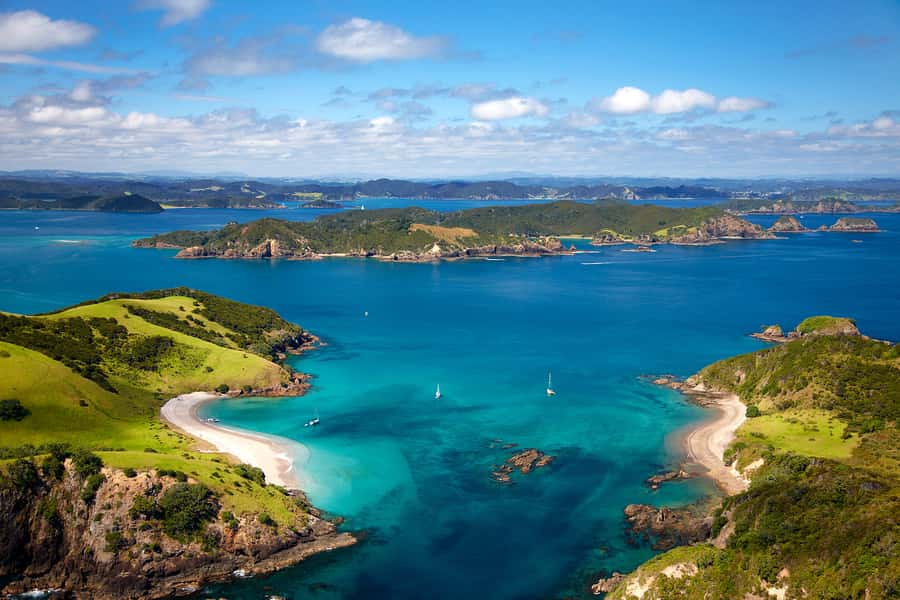 From Auckland: Full Day Private Tour to the Bay of Islands - The Drive North From Auckland: Where the Day Really Starts