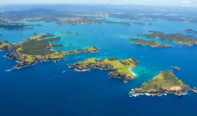 From Auckland: Full Day Private Tour to the Bay of Islands - Paihia and the Catamaran Cruise: Dolphins, Islands, and Time to Look Closely