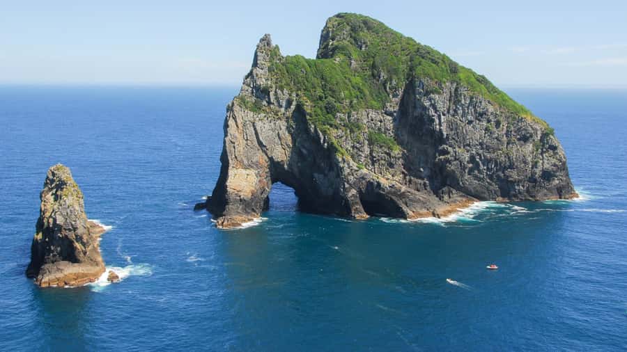 From Auckland: Full Day Private Tour to the Bay of Islands - Urupukapuka Island Picnic: Beach Time Plus Optional Summit Views