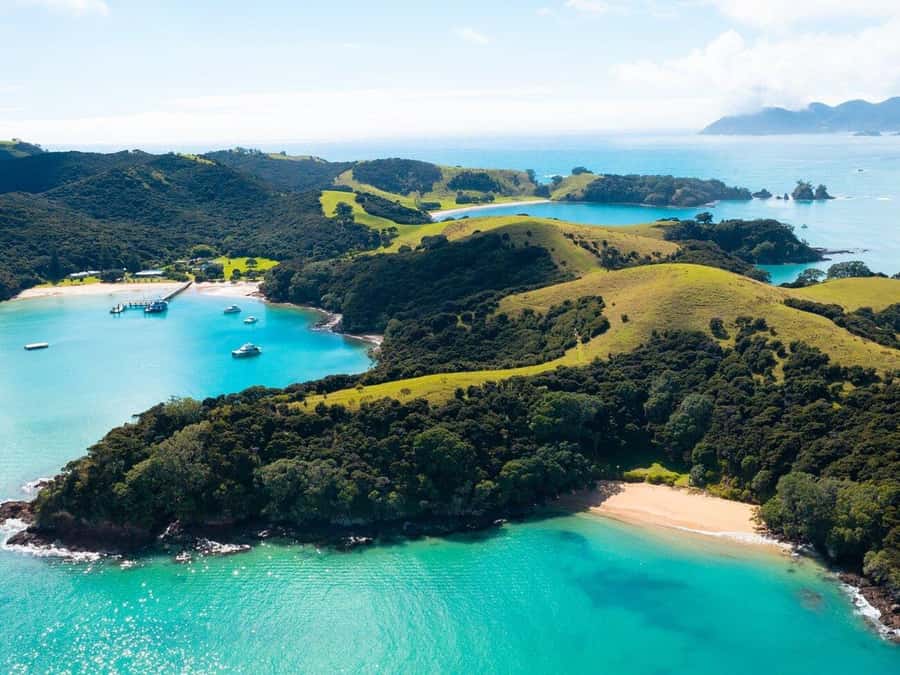From Auckland: Full Day Private Tour to the Bay of Islands - Mercedes Van, Private Group, and Onboard Wi‑Fi: Why This Format Feels Easier