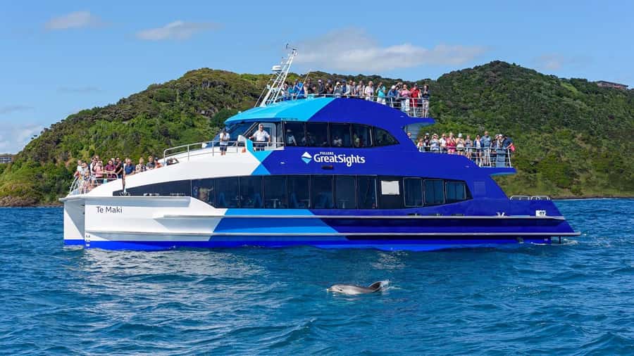 From Auckland: Full Day Private Tour to the Bay of Islands - Price and Value: What $567 Per Person Buys You