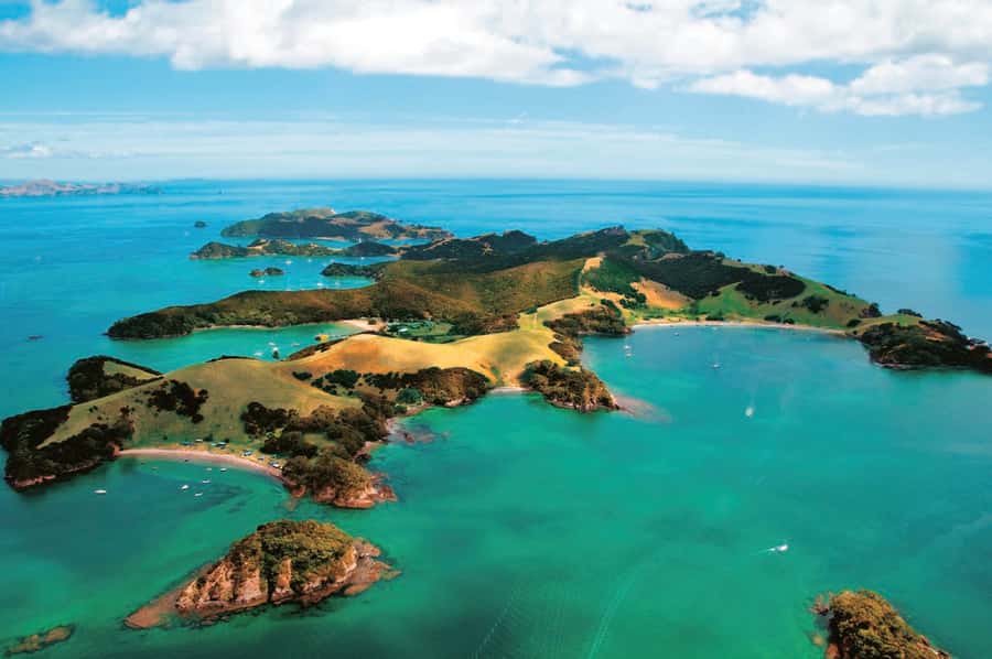 From Auckland: Full Day Private Tour to the Bay of Islands - Should You Book This Private Bay of Islands Day Trip?