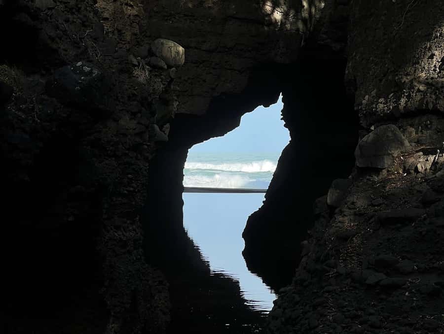 From Auckland: Guided Tour of Piha with Scenic Beach Walks - Key highlights I’d plan around