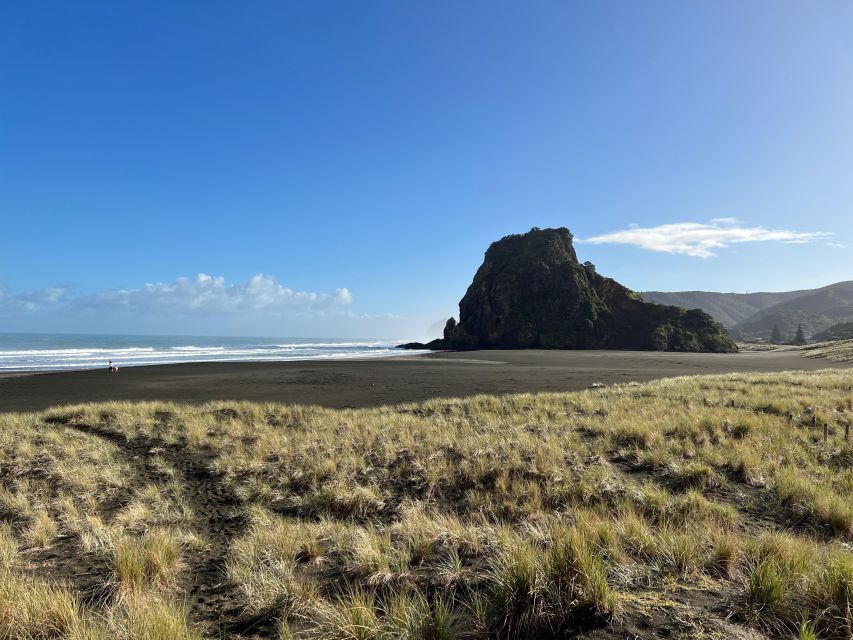 From Auckland: Guided Tour of Piha with Scenic Beach Walks - Group size, guide style, and why it matters at Piha