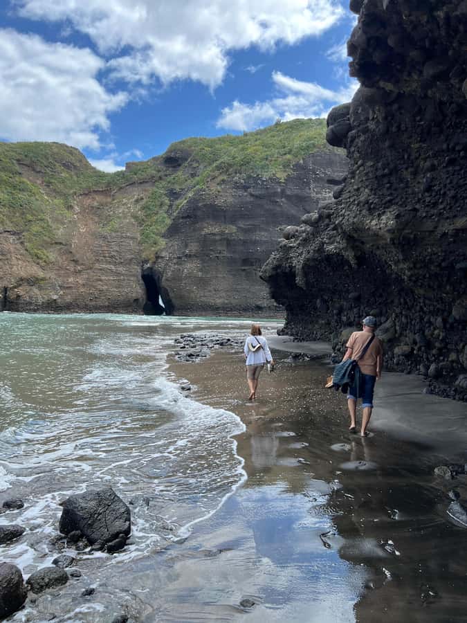 From Auckland: Guided Tour of Piha with Scenic Beach Walks - A 6.5-hour Piha day trip that feels like the West Coast, not a checklist
