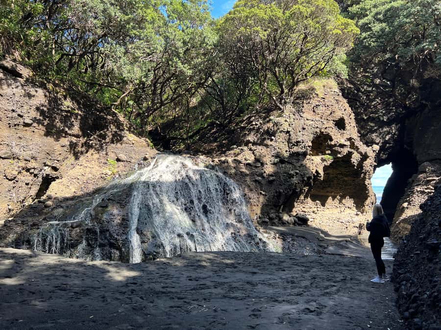 From Auckland: Guided Tour of Piha with Scenic Beach Walks - South Piha on foot: black sand, sea caves, and cliff-time