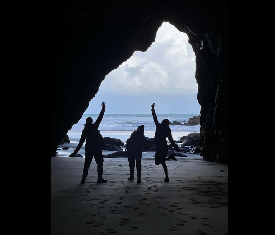 From Auckland: Guided Tour of Piha with Scenic Beach Walks - North Piha loop: native forest, caves, and a calmer rhythm