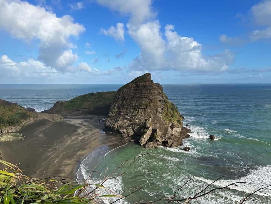 From Auckland: Guided Tour of Piha with Scenic Beach Walks - Wildlife is more about timing and attention than a checklist