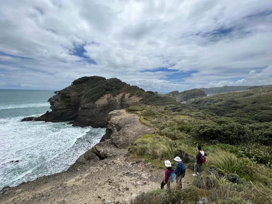 From Auckland: Guided Tour of Piha with Scenic Beach Walks - Navigating rocks and waves: the only real “work” you’ll do