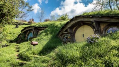 From Auckland: Hobbiton Afternoon Tour - Waikato Farm Country Drive: Cattle, Dairy, and Photo Breaks