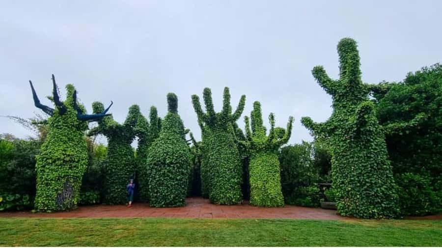 From Auckland: Hobbiton & Hamilton Gardens Small Group Tour - From Gardens to Set Life: The Road Back Into Middle-earth