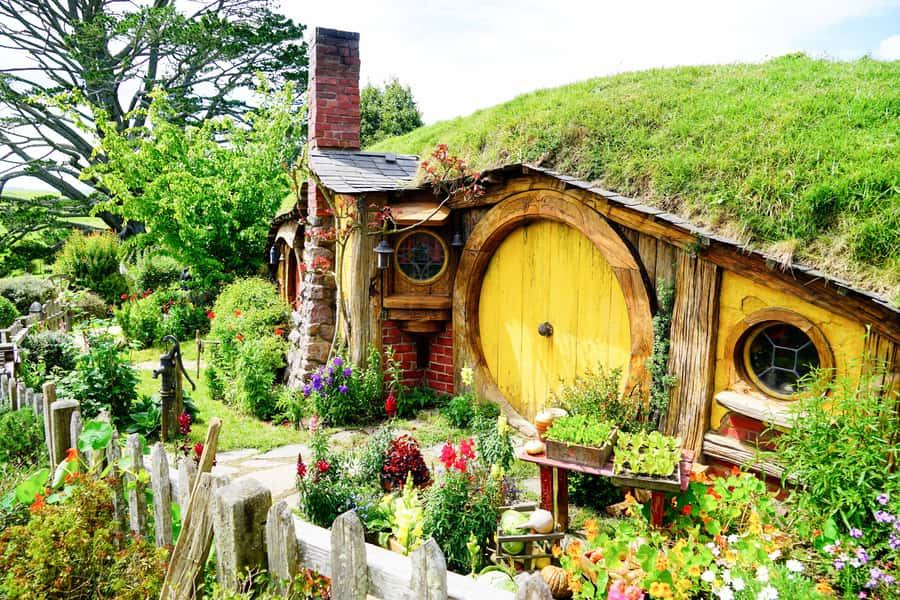From Auckland: Hobbiton & Rotorua Tour with Lunch at Te Puia - Auckland to Hobbiton: Why the Long Drive Still Feels Productive