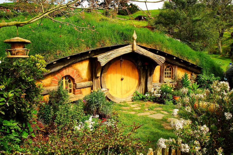 From Auckland: Hobbiton & Rotorua Tour with Lunch at Te Puia - The One-Way Option to Rotorua: A Smart Way to Stop the Day From Ending Exhausted