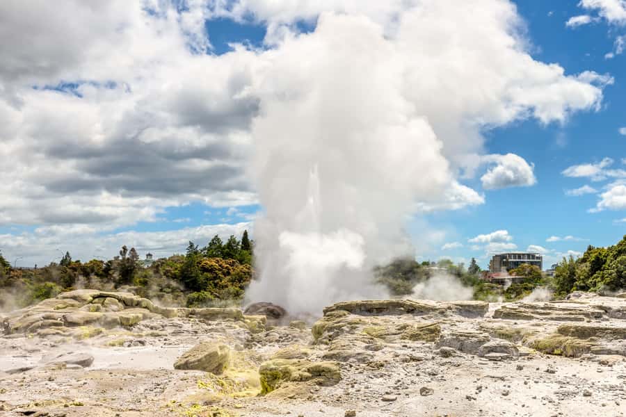From Auckland: Hobbiton & Rotorua Tour with Lunch at Te Puia - Price and Value: Is $286 Worth It?