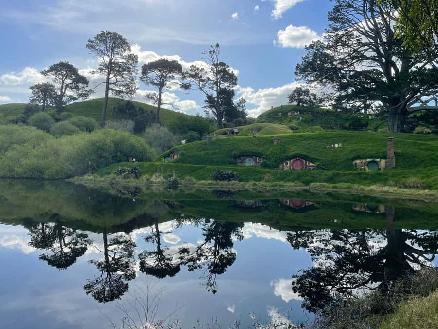 From Auckland: Hobbiton, Waitomo Caves & Kiwi House Tour - Key things to know before you go