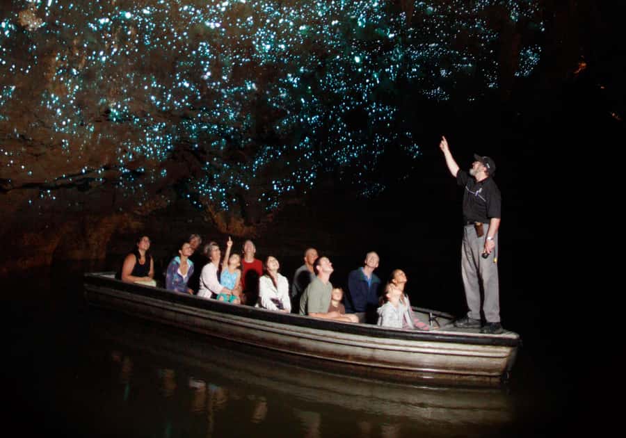 From Auckland: Hobbiton, Waitomo Caves & Kiwi House Tour - Hobbiton Movie Set: 2.5 hours on iconic green buses