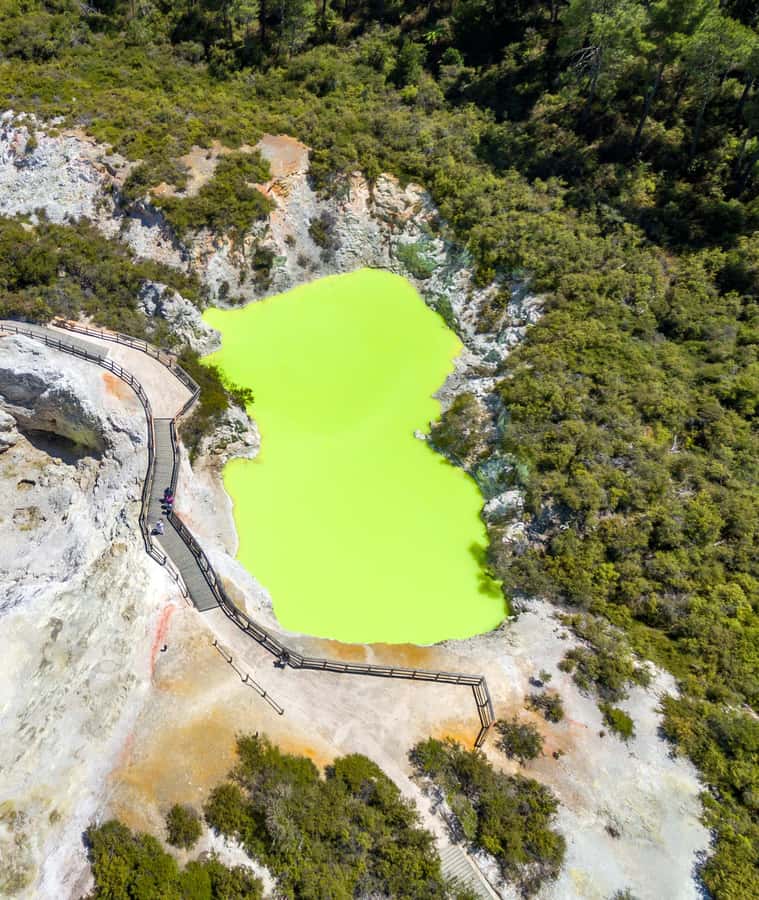 From Auckland: Rotorua Māori Village & Activity Combinations - Guides and organization: why it feels easier than DIY
