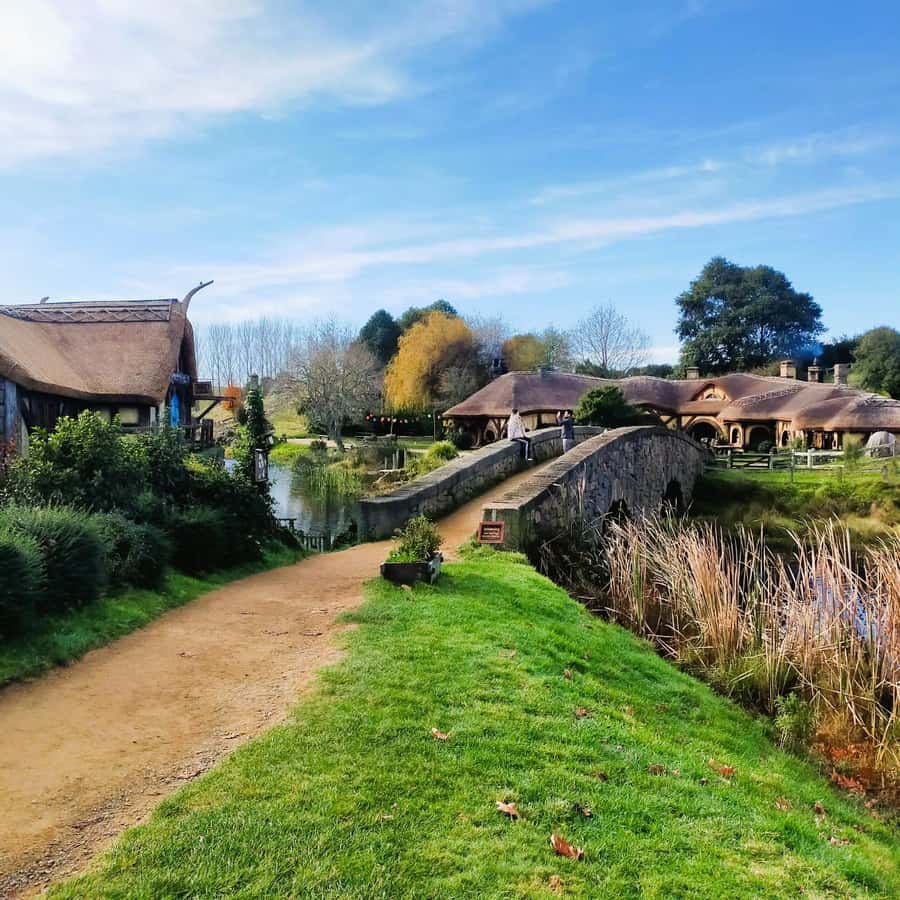 From: Auckland: Rotorua via Hobbiton Tour One Way Tour - One day, two icons: why this one-way routing works