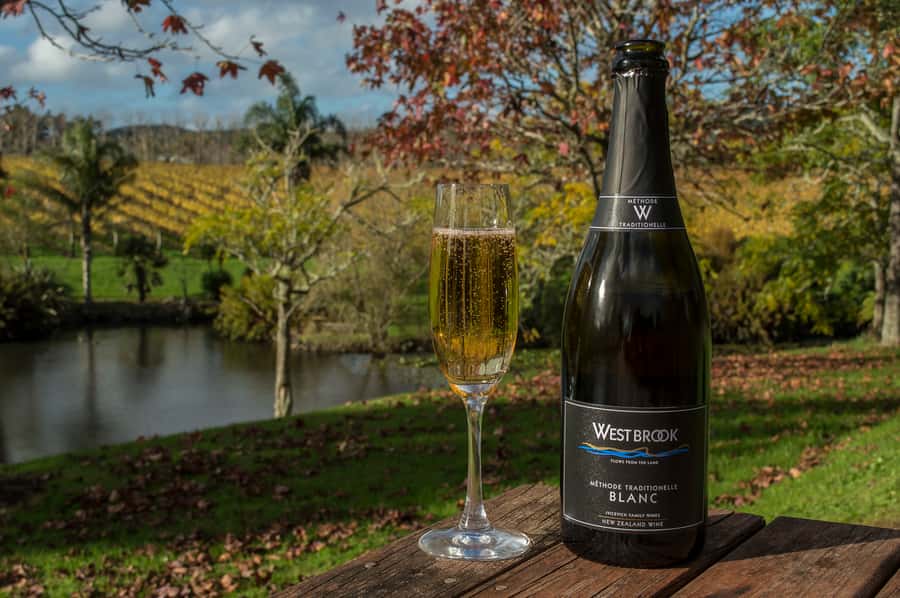 From Auckland: Small Group Kumeu Wine Tour with Lunch - Soljans Vineyard: Croatian roots, first tastings, and a real lunch break
