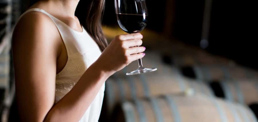 From Auckland: Waiheke Island Wineries' Tour - A small group and a guide who actually runs the day