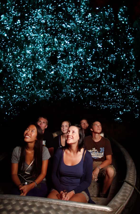 From Auckland: Waitomo Caves and Kiwi House Group Tour - Getting the most from the glowworms in the dark